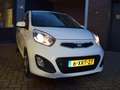 Kia Picanto 1.0 CVVT BusinessL. Biały - thumbnail 6