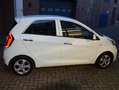 Kia Picanto 1.0 CVVT BusinessL. Biały - thumbnail 5