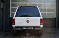 Volkswagen Amarok 4Motion 3.0 V6 TDI Highline DoubleCab Pickerl NEU Blanc - thumbnail 4