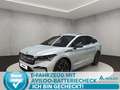 Skoda Enyaq 80X 4x4 1-Gang Silber - thumbnail 1