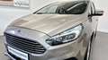 Ford S-Max Titanium 2.0 TDCi AWD Au Silber - thumbnail 2