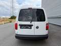 Volkswagen Caddy Maxi Kastenwagen Entry 2,0 TDI ID:57 Weiß - thumbnail 6