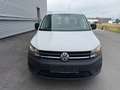 Volkswagen Caddy Maxi Kastenwagen Entry 2,0 TDI ID:57 Weiß - thumbnail 3