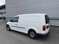 Volkswagen Caddy Maxi Kastenwagen Entry 2,0 TDI ID:57 Weiß - thumbnail 5