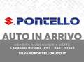 Fiat Doblo Doblò 1.3 MJT RIBALTABILE Work-Up Bianco - thumbnail 10