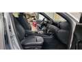 Mercedes-Benz A 180 A 180 - BV 7G-DCT  BERLINE 5P  Progressive Line Grau - thumbnail 21