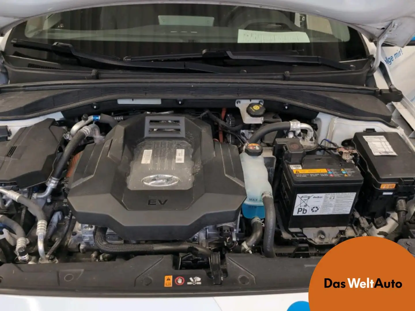 Hyundai IONIQ LEVEL 4 Elektro Weiß - 1