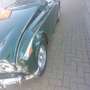 Triumph TR4 IRS Vert - thumbnail 2