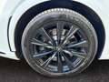 Lexus RX 500h RX 500h Hybrid Turbo F-Sport Bianco - thumbnail 17