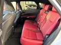 Lexus RX 500h RX 500h Hybrid Turbo F-Sport Bianco - thumbnail 13