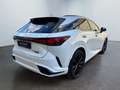 Lexus RX 500h RX 500h Hybrid Turbo F-Sport Bianco - thumbnail 9