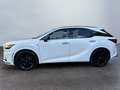 Lexus RX 500h RX 500h Hybrid Turbo F-Sport Bianco - thumbnail 5
