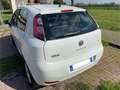 Fiat Punto Pop Blanc - thumbnail 2