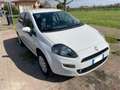 Fiat Punto Pop Blanc - thumbnail 1