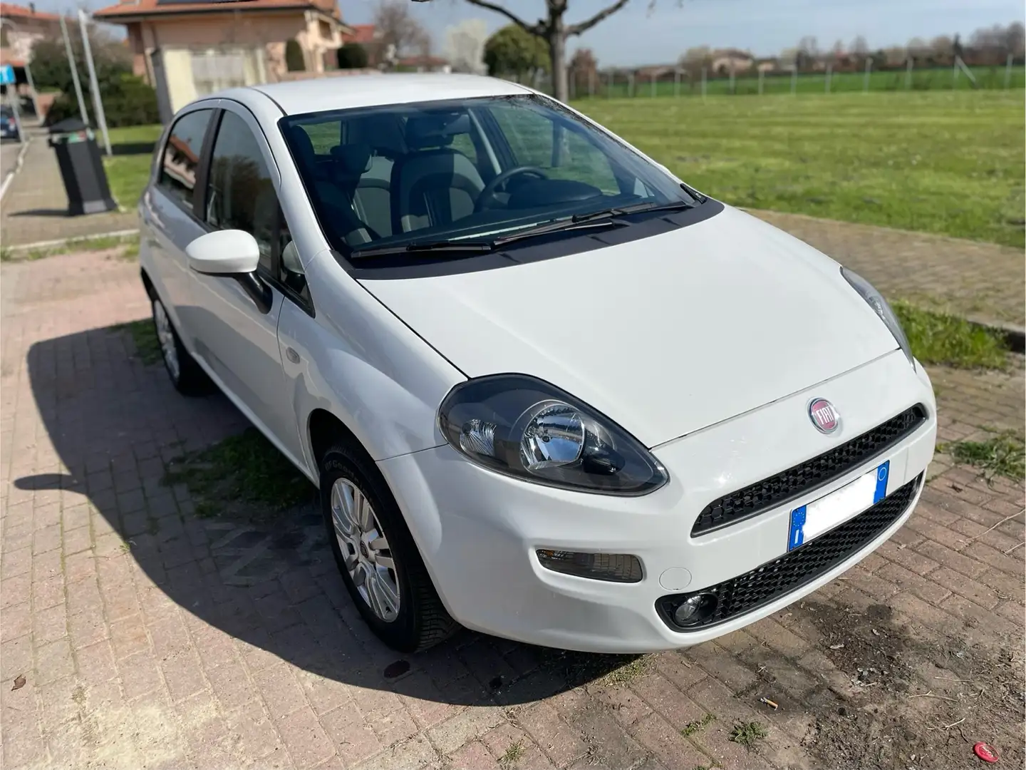 Fiat Punto Pop Blanco - 1
