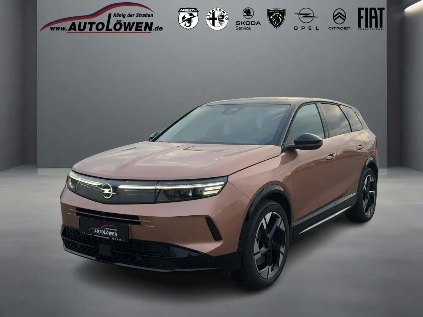 Opel Grandland X 1.6 Turbo Hybrid GS Bronze - 1