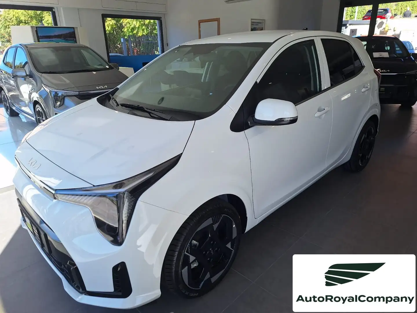 Kia Picanto Picanto 1.0 12V 5 porte AMT 20th Anniversary Edit Šedá - 1