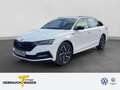 Skoda Octavia Combi 1.4 iV SPORTLINE HuD NAVI LED ASSI Weiß - thumbnail 1