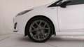 Ford Fiesta 5p 1.0 ecoboost h ST-Line 125cv Bianco - thumbnail 26
