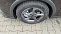 Kia K4 1.6 T-GDI 110 kW Vision DCT+NAVI+SHZ+ACA+LED+KA... Schwarz - thumbnail 19