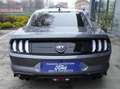 Ford Mustang Mustang Fastback 5.0ti-vct V8 GT 450cv-IVA ESPOSTA Grigio - thumbnail 7