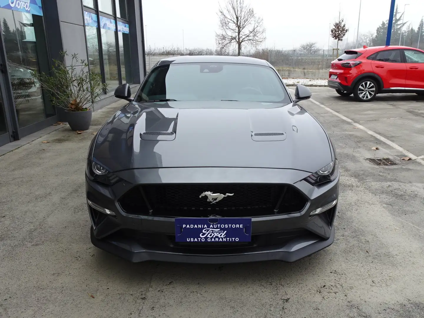Ford Mustang Fastback 5.0ti-vct V8 GT 450cv Grigio - 2