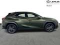 Lexus UX 250h Business Line Zelená - thumbnail 16