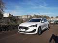 Ford Focus Turnier 1,0 EcoBoost Hybrid Titanium Edit... Blanc - thumbnail 1