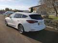 Ford Focus Turnier 1,0 EcoBoost Hybrid Titanium Edit... Blanc - thumbnail 5