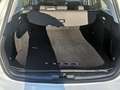 Ford Focus Turnier 1,0 EcoBoost Hybrid Titanium Edit... Blanc - thumbnail 7
