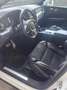 Volvo XC60 XC60 2.0 d4 R-design awd geartronic Bianco - thumbnail 6