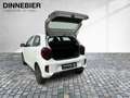 Kia Picanto 1.0 Vision Navigation+Kamera+SHZ Blanc - thumbnail 5