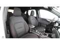 Ford Kuga 1.5 EcoBoost ST-Line LED AHK SITZHZG R-CAM Weiß - thumbnail 13