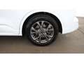 Ford Kuga 1.5 EcoBoost ST-Line LED AHK SITZHZG R-CAM Weiß - thumbnail 25