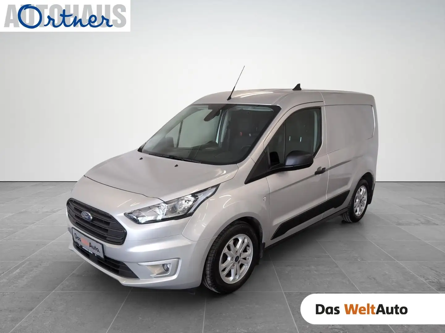 Ford Transit Connect Kasten Argento - 1