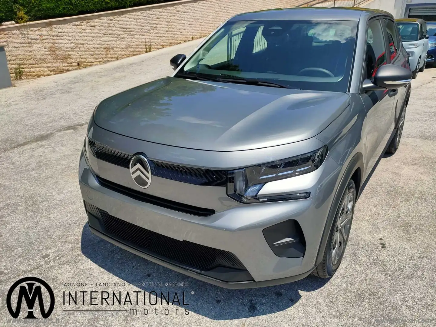 Citroen C3 PureTech 100 S&S You Grigio - 1
