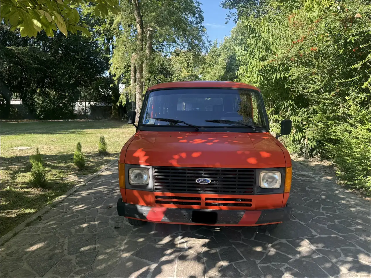 Ford Transit Autoveicolo 9 Posti, foto 2
