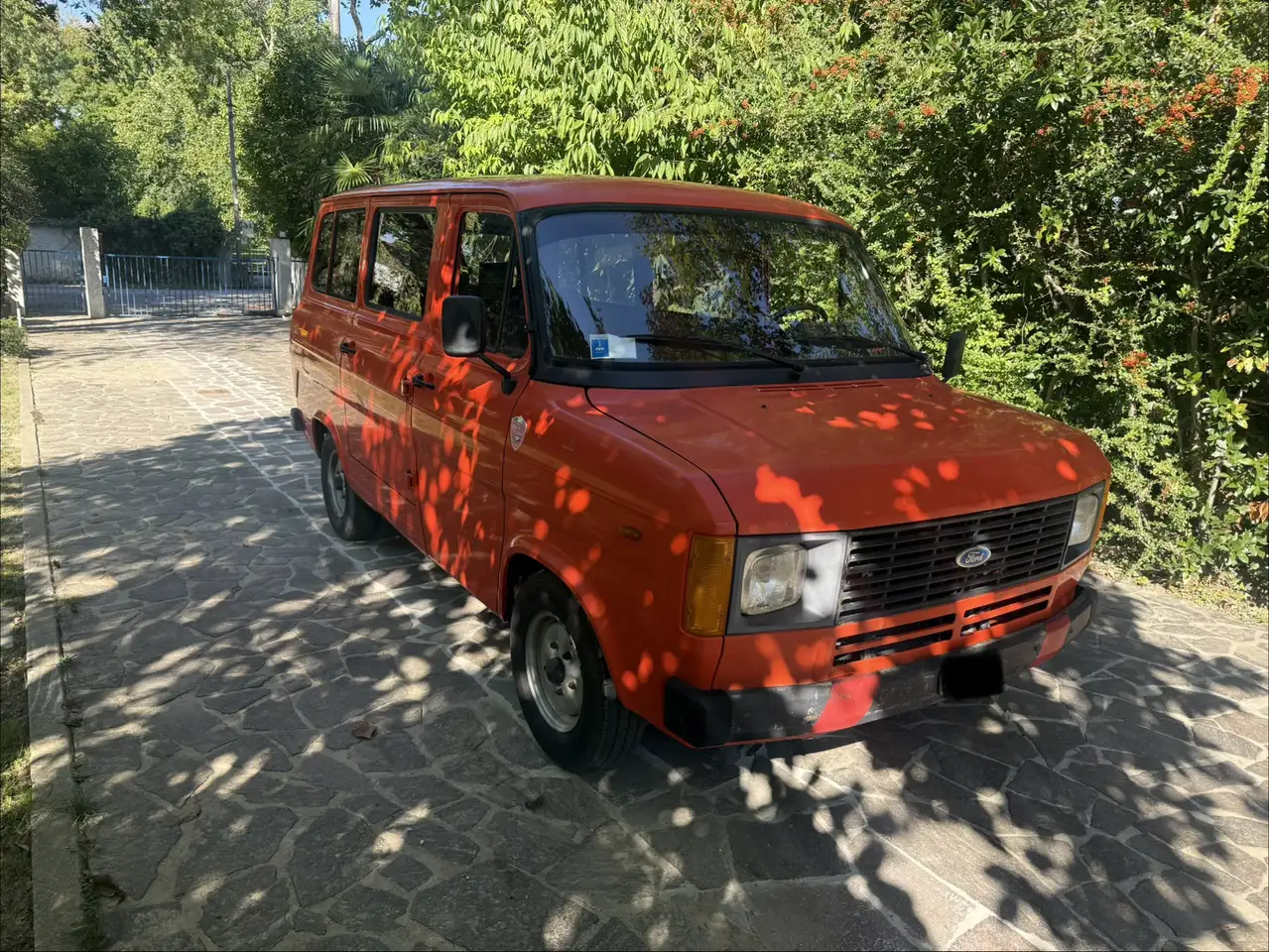 Ford Transit Autoveicolo 9 Posti, foto 3