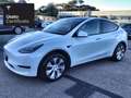 Tesla Model Y Rear-Wheel Drive Bianco - thumbnail 3