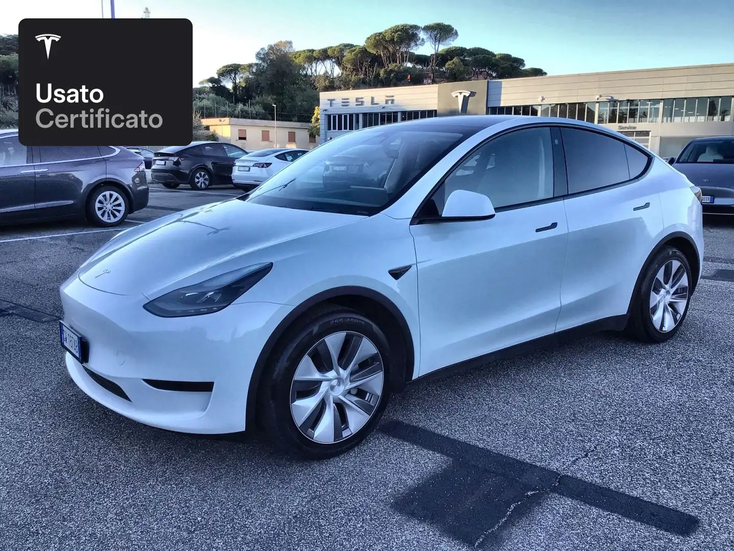 Tesla Model Y Rear-Wheel Drive Bianco - 1