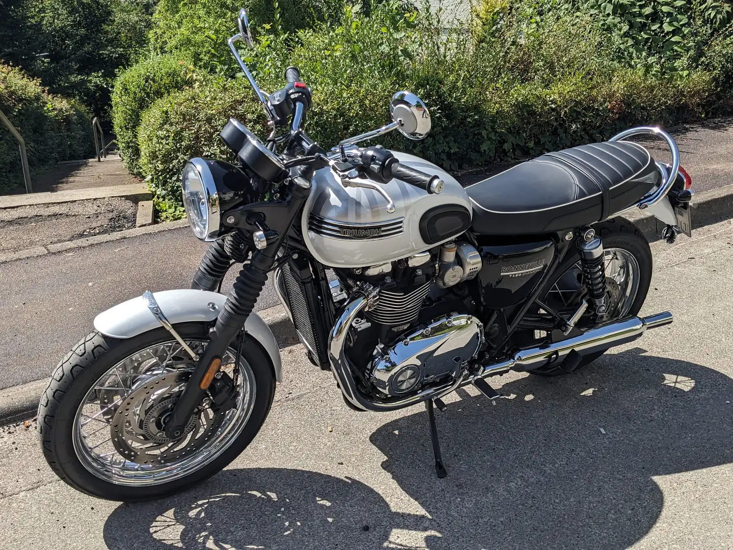Triumph Bonneville T120 Diamond Weiß - 2