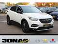 Opel Grandland X 1.2T S/S 120Jahre NAVI R-Kamera DAB+ Weiß - thumbnail 3