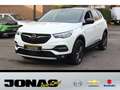 Opel Grandland X 1.2T S/S 120Jahre NAVI R-Kamera DAB+ Weiß - thumbnail 1