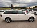 Skoda Octavia Weiß - thumbnail 10