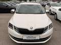 Skoda Octavia Weiß - thumbnail 2