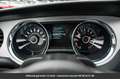 Ford Mustang Pack Cervini Tout compris hors homologation 4500e White - thumbnail 11