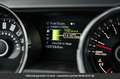 Ford Mustang Pack Cervini Tout compris hors homologation 4500e White - thumbnail 12