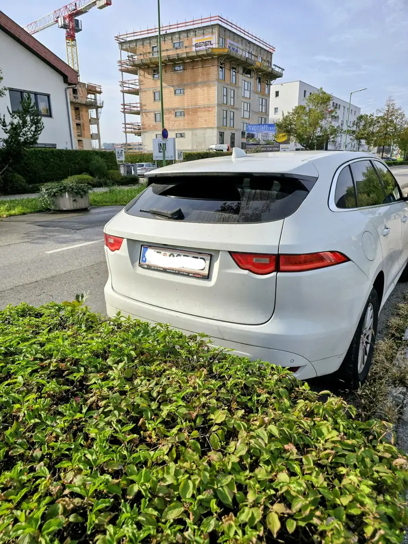 Jaguar F-Pace Pure - 1