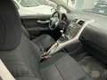 Toyota Auris 5p 1.4 d-4d Sol Oro - thumbnail 20