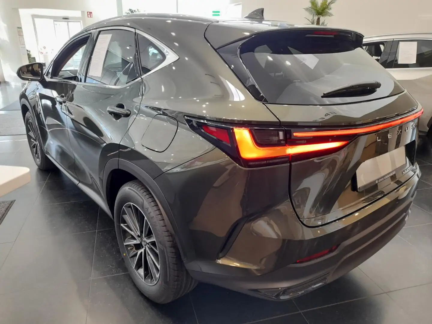 Lexus NX 450h+ ❤️Plug-In Executive❤️ Grün - 2